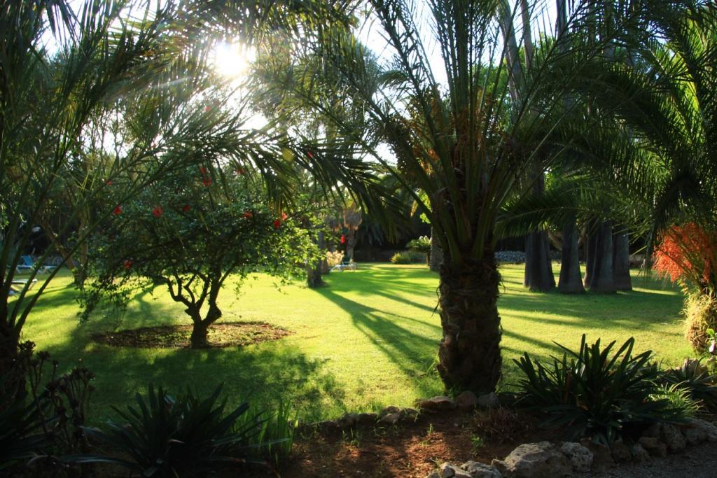 Finca Hotel Predio Son Serra Кан Пикафорт Экстерьер фото